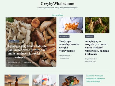 Grzybywitalne.com - Chaga